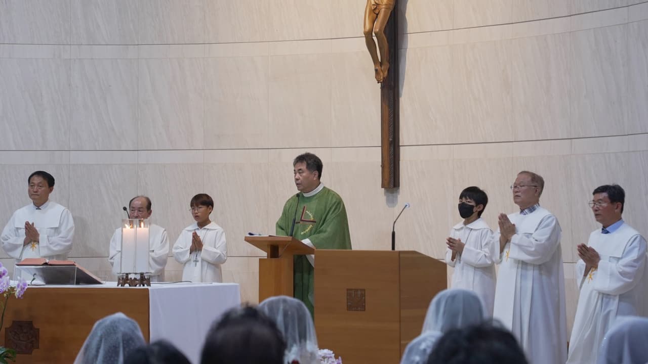 연중 제 14주일 (2024년 7월 7일)