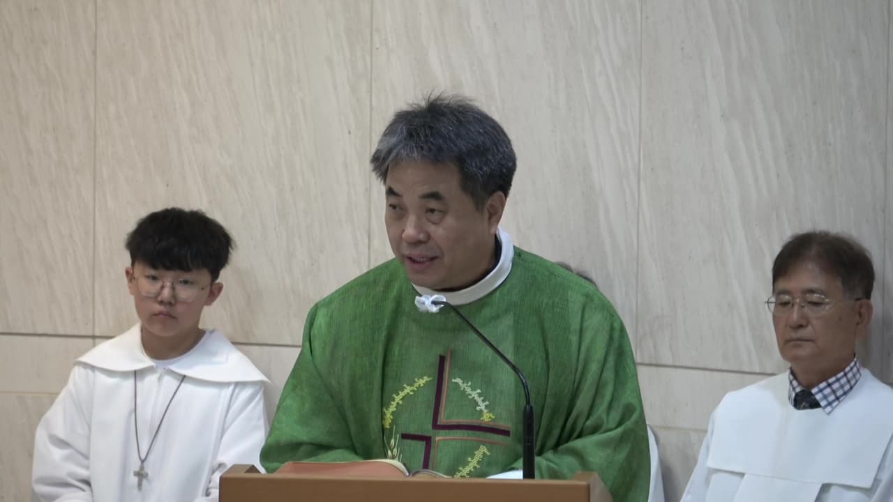 연중 제 10주일 (2024년 6월 9일)